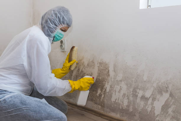 Best Airborne Mold Testing  in Washington, NJ