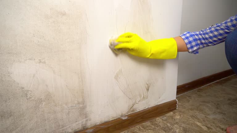 Best Dehumidification Services  in Washington, NJ