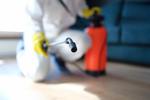Best Mold Odor Removal Services  in Washington, NJ